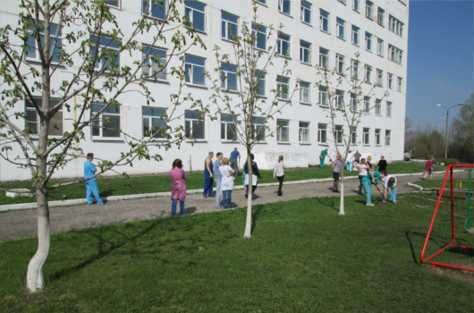 В период цветения каштаны считаются настоящим украшением уличной территории муромской больницы В период цветения каштаны считаются настоящим украшением уличной территории муромской больницы